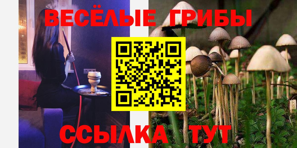 Партизанск  Галлюциногенные грибы Cubensis  Вход с VPN 